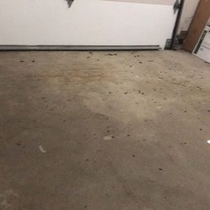 Meet your Posher, Manny